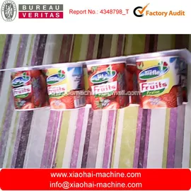 FFS (Form Fill Seal) automatic machine for soy yogurt packaging supplier